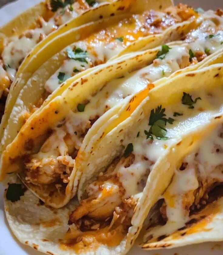 Creamy Cheesy Chicken Tacos