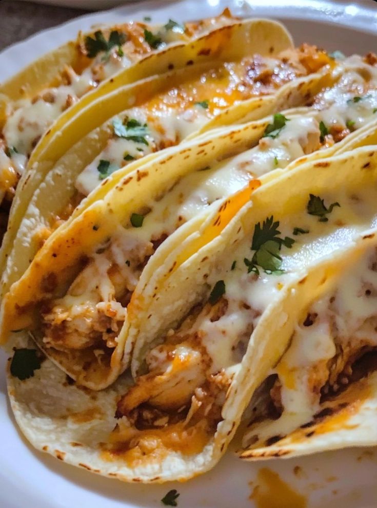 Creamy Cheesy Chicken Tacos
