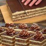 Chocolate Custard Layered Cake