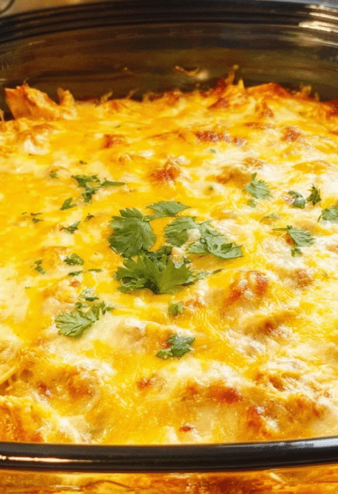 Crockpot Chicken Enchilada Casserole