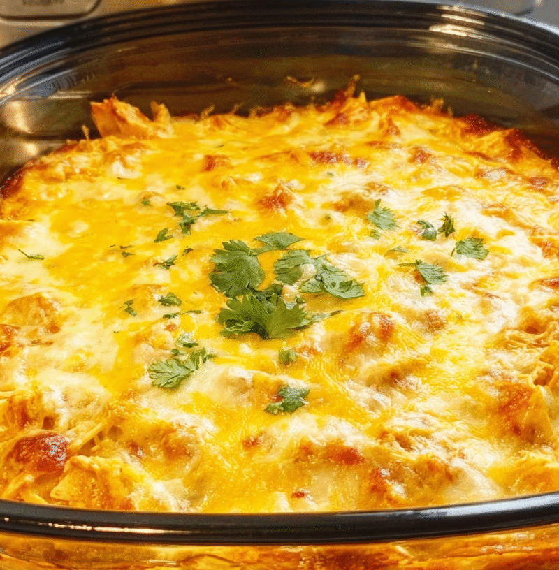 Crockpot Chicken Enchilada Casserole